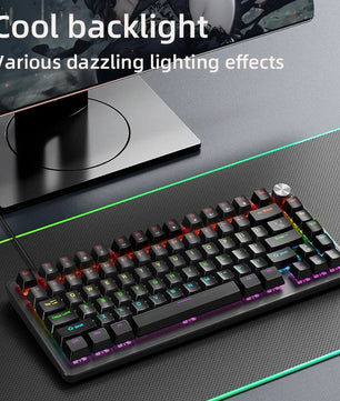 75% Mechanical Keyboard Wired with Media Knob, APAYADO Black Gaming Keyboard,Hot-Swap,ABS Cap Transparent Character Backlighting Nevolta