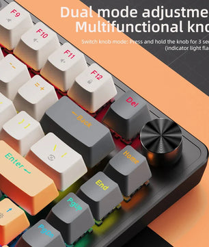 75% Mechanical Keyboard Wired with Media Knob, APAYADO Black Gaming Keyboard,Hot-Swap,ABS Cap Transparent Character Backlighting Nevolta