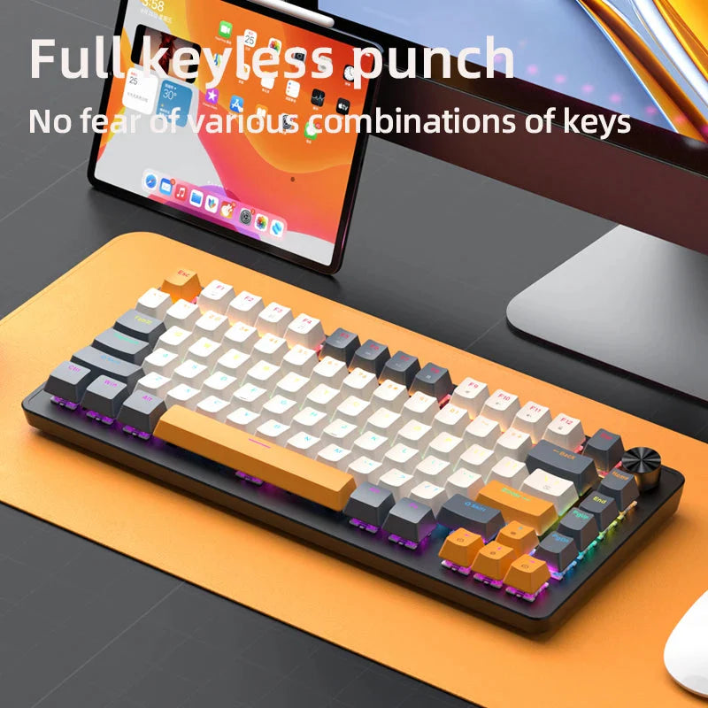 75% Mechanical Keyboard Wired with Media Knob, APAYADO Black Gaming Keyboard,Hot-Swap,ABS Cap Transparent Character Backlighting Nevolta