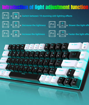68 Keys Mechanical Keyboard Ergonomics RGB Backlit LED Hot Swappable Blue Switch Gaming Keyboard for PC Laptop Office Nevolta