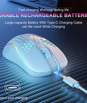 2.4G Wireless RGB Lighting Charging Mouse with Adjustable DPI Ergonomic Honeycomb Design Gaming Mouse for Desktop Laptop Nevolta