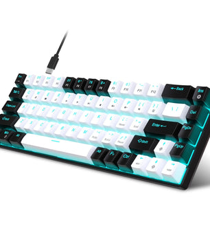 68 Keys Mechanical Keyboard Ergonomics RGB Backlit LED Hot Swappable Blue Switch Gaming Keyboard for PC Laptop Office Nevolta